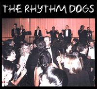 rhythm dogs